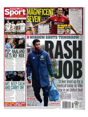 Mirror SPORT