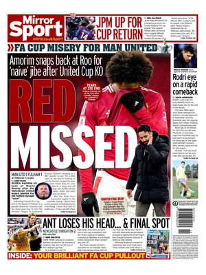 Mirror SPORT