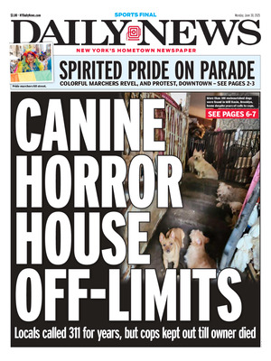 Daily News (New York)